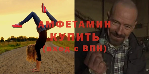 твердый Козельск