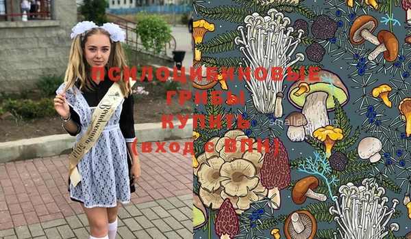 прущая мука Алексин