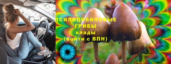 spice Алзамай