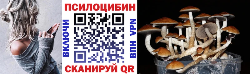 сайты даркнета состав Искитим Галлюциногенные грибы Psilocybine cubensis хочу наркоту